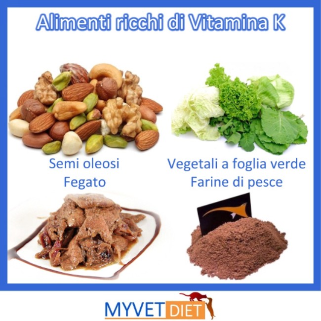 Considerazioni Sulla Vitamina K La Nutrizione Veterinaria Secondo Myvetdiet Blog Di Cultura Alimentare Veterinaria Myvetdiet