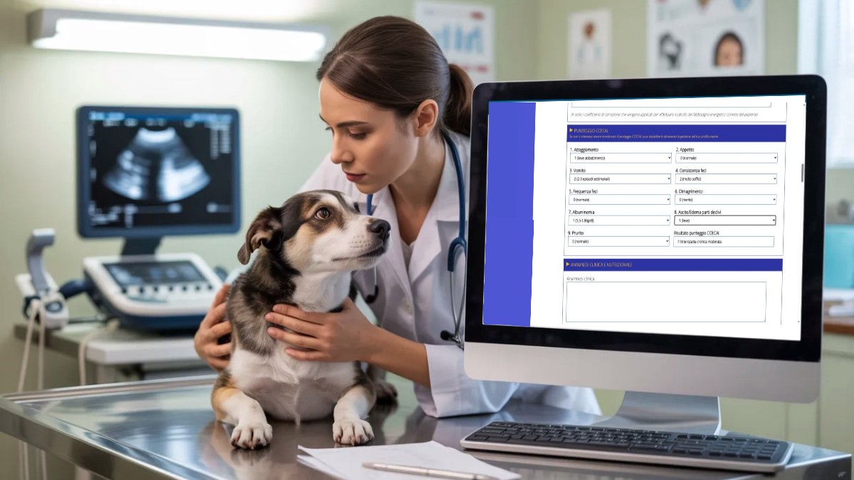 Actualizaci&oacute;n ACVIM 2026 sobre las chronic inflammatory enteropathies del perro: diagn&oacute;stico y manejo cl&iacute;nico