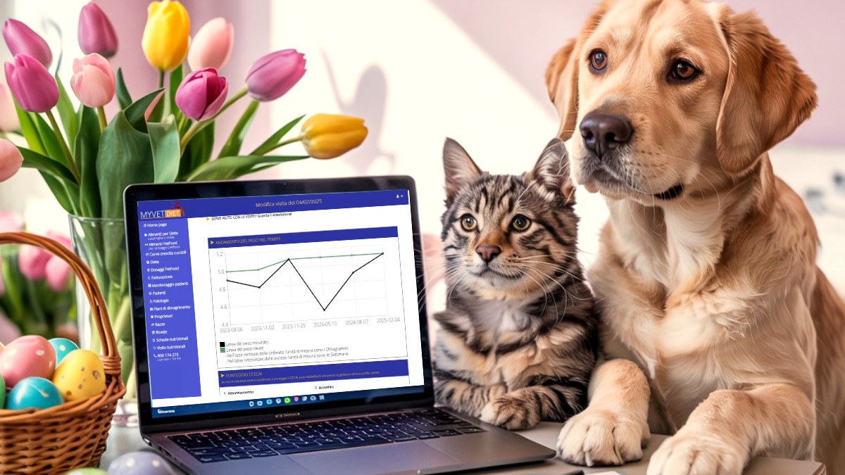 Esta Pascua, elige MyVetDiet: tu licencia a un precio especial