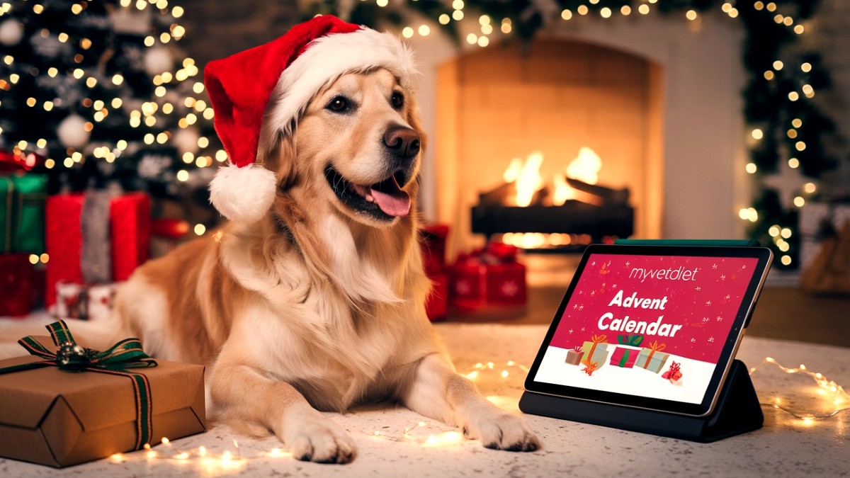 Este año también, por Navidad, te regalamos el calendario de Adviento de MyVetDiet