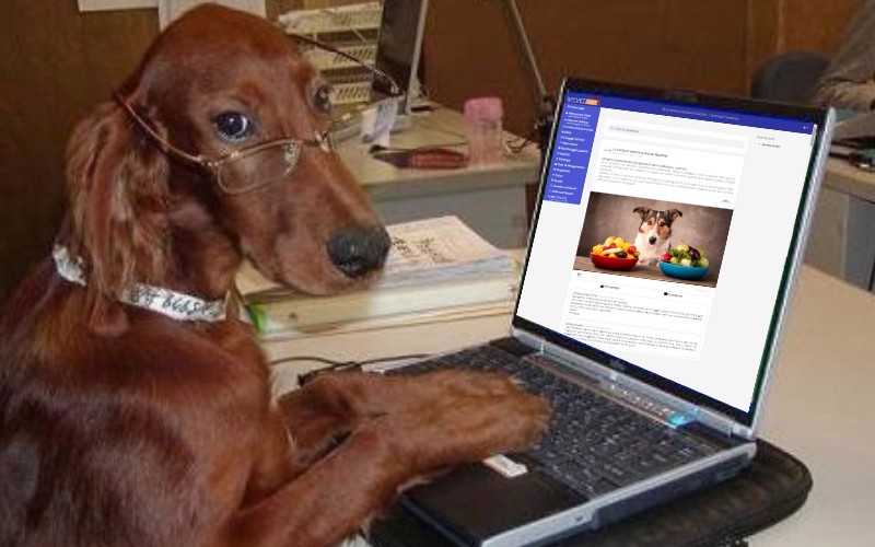 Para el Día Internacional de los Trabajadores, hagamos aún más cómodo tu trabajo en MyVetDiet