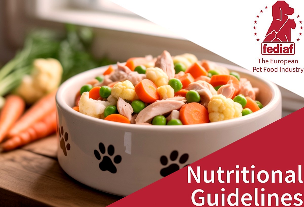 Tablas FEDIAF por 1000 kcal y por sustancia seca: cuáles utilizar y cómo encontrar sus contenidos en MyVetDiet