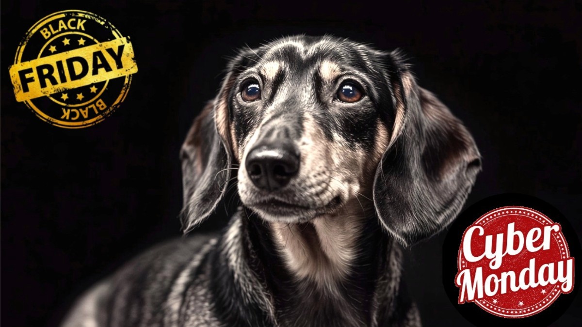 Vuelve el Black Friday de MyVetDiet