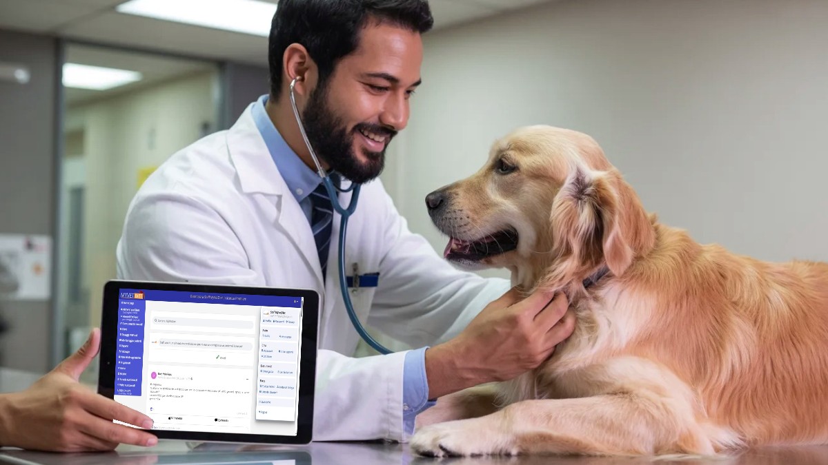 MyVetDiet reorganiza el men&uacute; de usuario